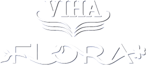 logo footer
