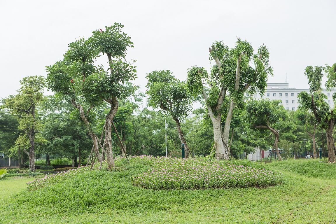tiện ích flora garden hồng hà eco city